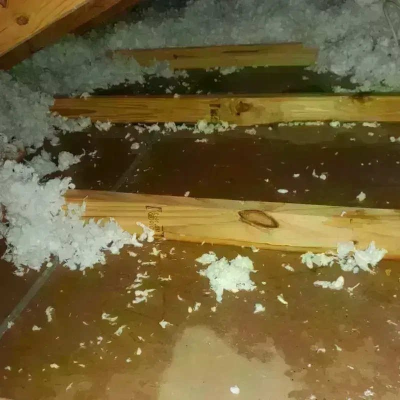 Attic Water Damage in San Mateo, CA