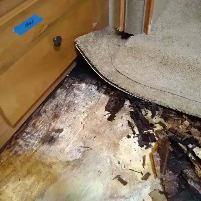 Best Wood Floor Water Damage Service in San Mateo, CA